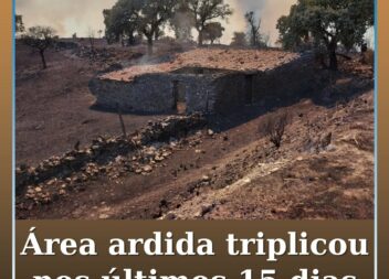 Área ardida em Portugal triplica em 15 dias e ultrapassa 29 mil hectares