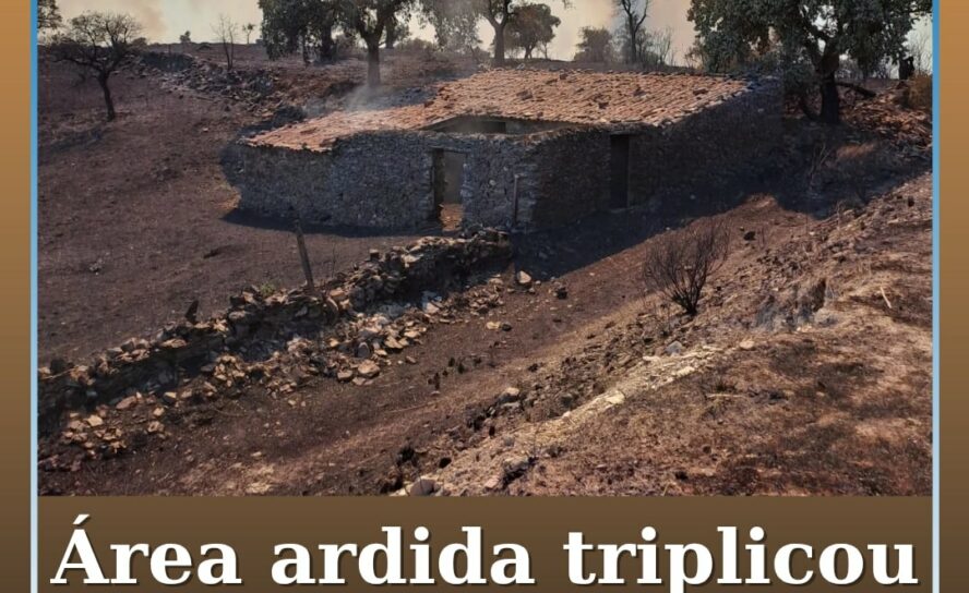 Área ardida em Portugal triplica em 15 dias e ultrapassa 29 mil hectares