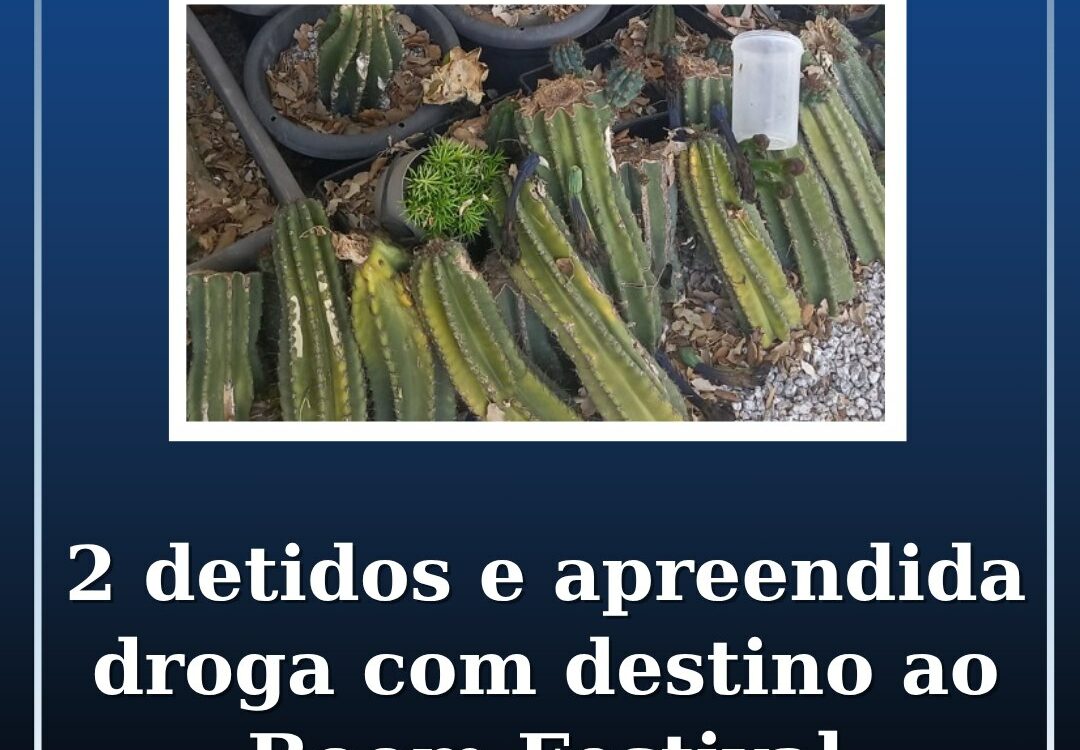 2 detidos e apreendida droga com destino ao Boom Festival