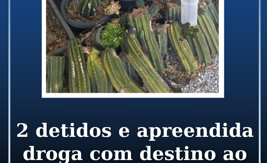 2 detidos e apreendida droga com destino ao Boom Festival