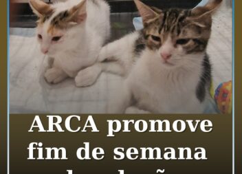 ARCA promove fim de semana de adoção