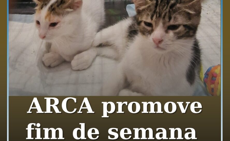 ARCA promove fim de semana de adoção