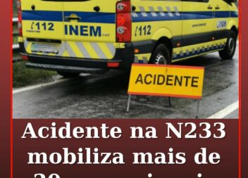 Acidente mobiliza mais de 30 operacionais na Nacional 233