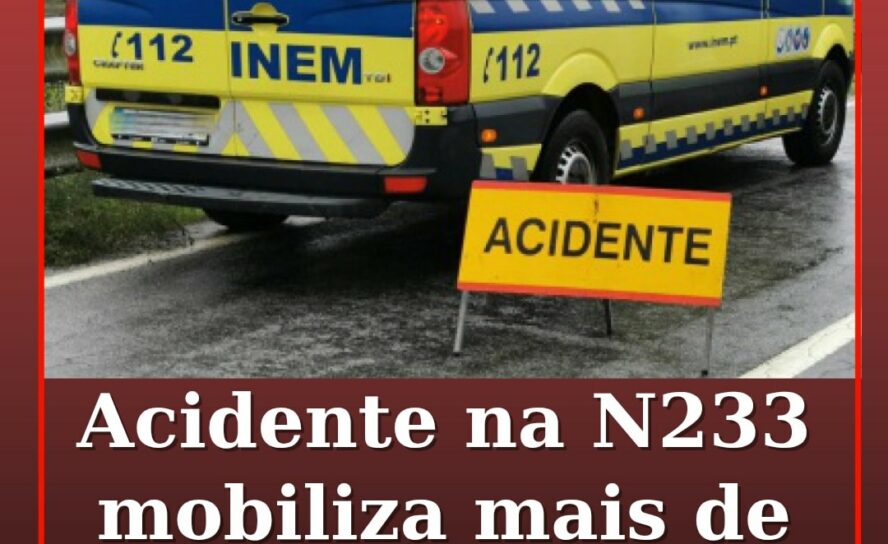 Acidente mobiliza mais de 30 operacionais na Nacional 233