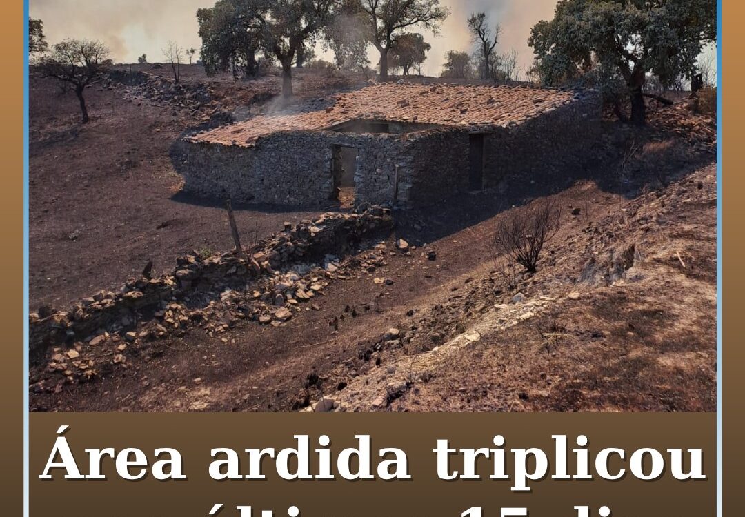 Área ardida em Portugal triplica em 15 dias e ultrapassa 29 mil hectares