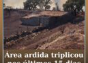 Área ardida em Portugal triplica em 15 dias e ultrapassa 29 mil hectares