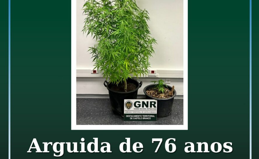 Arguida por cultivo de canábis