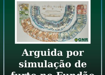 Arguida por simulação de furto no Fundão