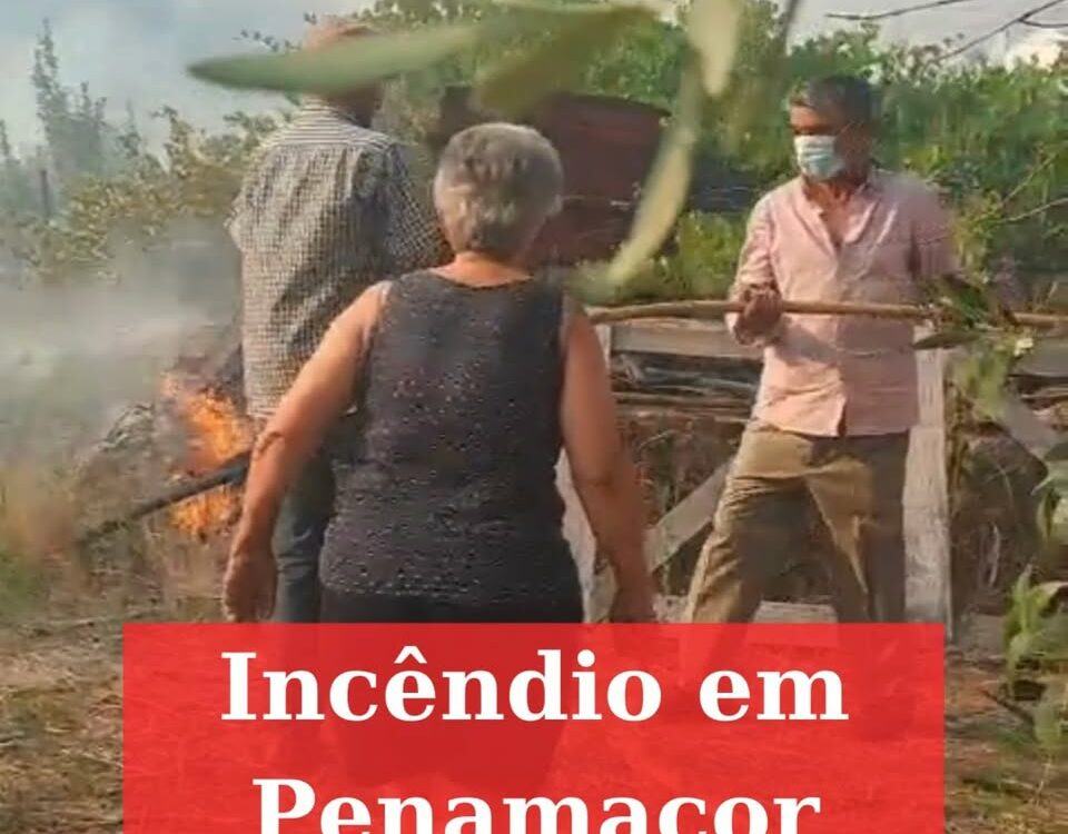 Cerca de 280 operacionais combatem incêndio