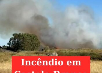 Cinco meios aéreos combatem fogo em Castelo Branco