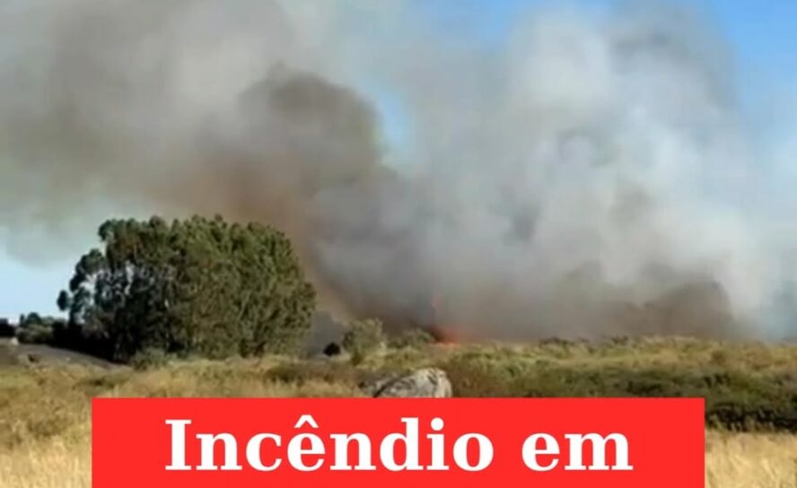 Cinco meios aéreos combatem fogo em Castelo Branco