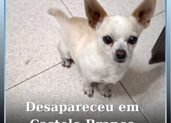 Desapareceu em Castelo Branco