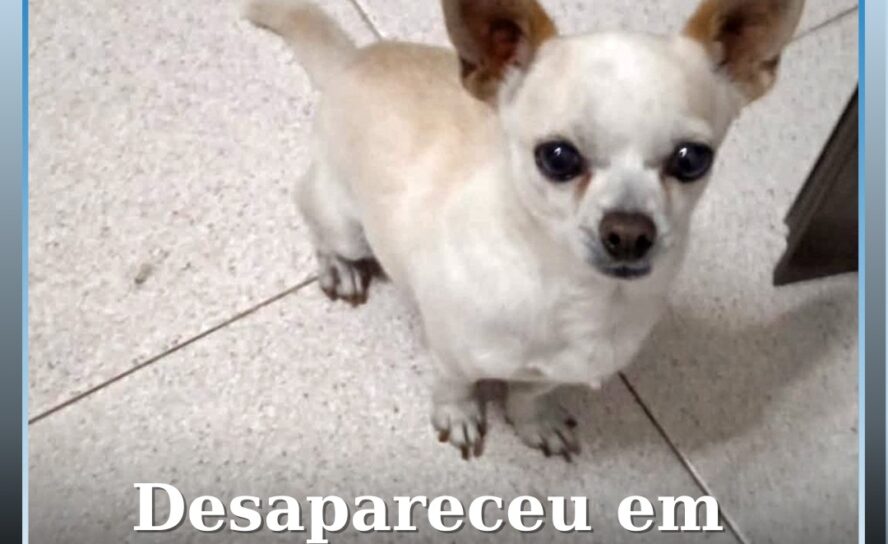 Desapareceu em Castelo Branco