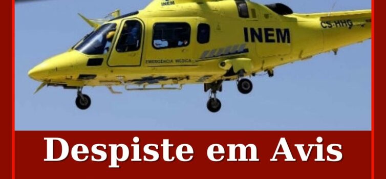 Despiste em Avis deixa homem gravemente ferido