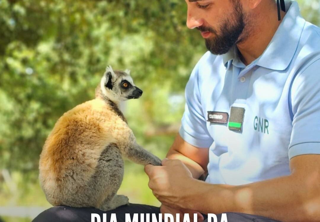 Dia Mundial da Conservação da Natureza