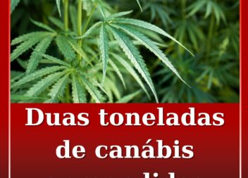 Dois detidos e duas toneladas de canábis apreendidas