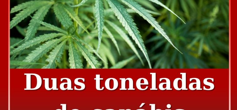 Dois detidos e duas toneladas de canábis apreendidas