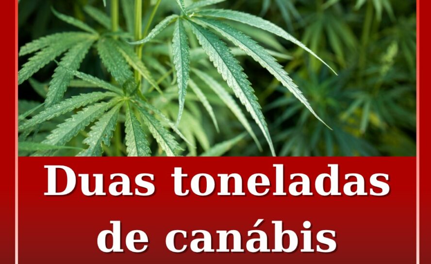 Dois detidos e duas toneladas de canábis apreendidas