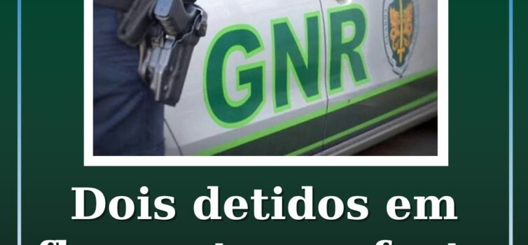 Dois detidos em flagrante por furto de metais não preciosos
