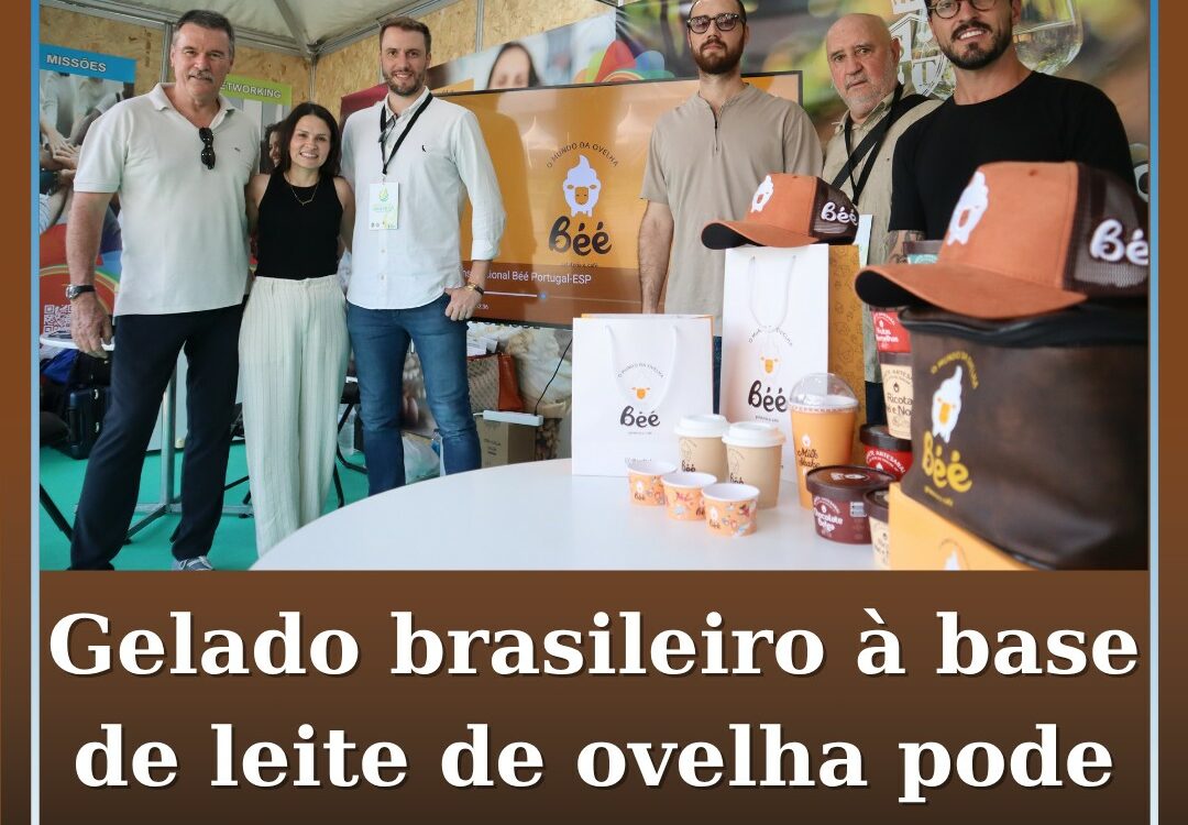 Gelado brasileiro à base de leite de ovelha pode chegar ao Fundão