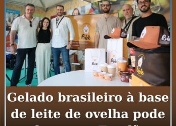 Gelado brasileiro à base de leite de ovelha pode chegar ao Fundão