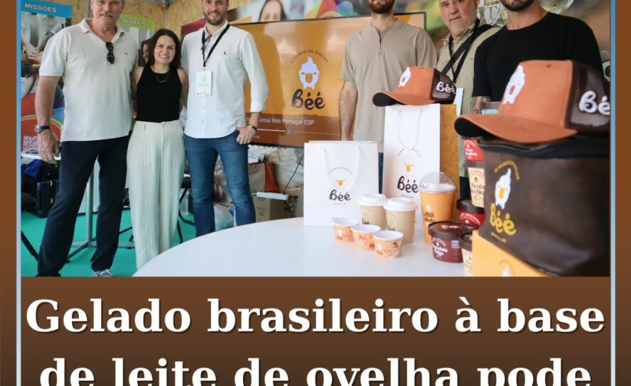 Gelado brasileiro à base de leite de ovelha pode chegar ao Fundão
