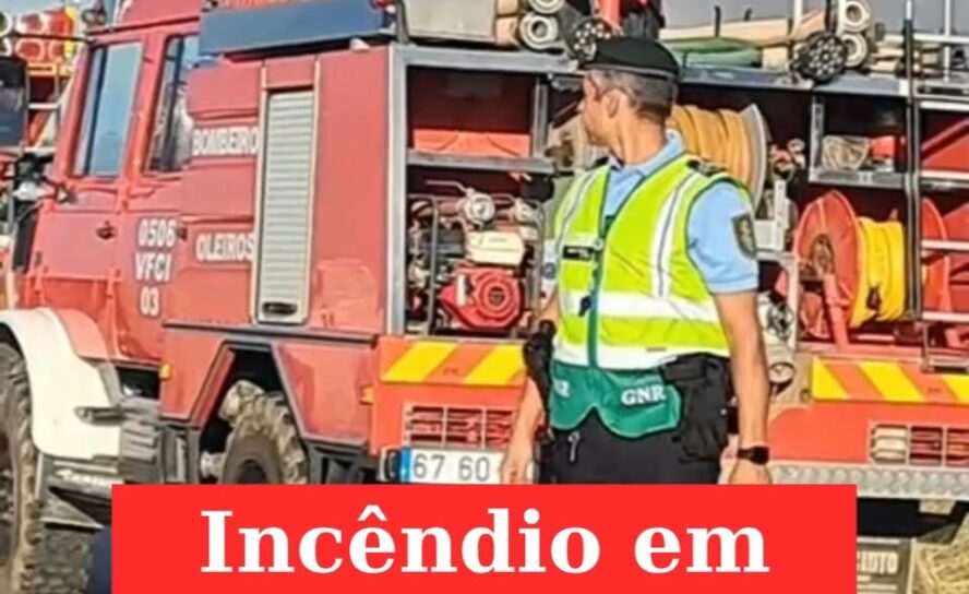 Incêndio em Castelo Branco mobiliza oito meios aéreos