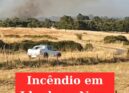 Incêndio em Idanha-a-Nova  mobiliza cerca de 160 operacionais