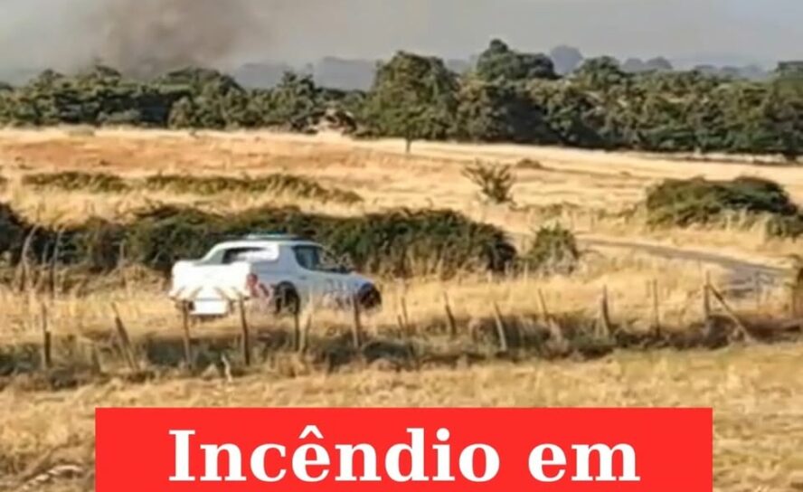 Incêndio em Idanha-a-Nova  mobiliza cerca de 160 operacionais