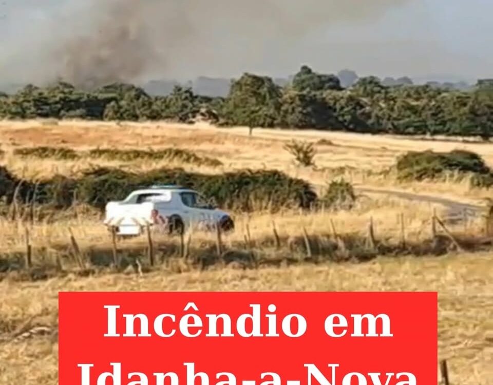 Incêndio em Idanha-a-Nova  mobiliza cerca de 160 operacionais