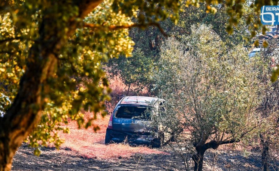 Incêndio em Nisa continua ativo