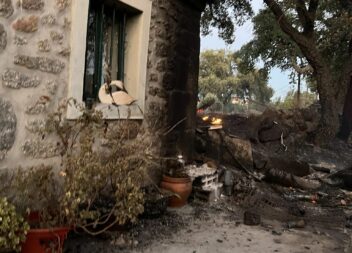 Incêndio em Penamacor destrói quinta e obriga família a fugir com os animais