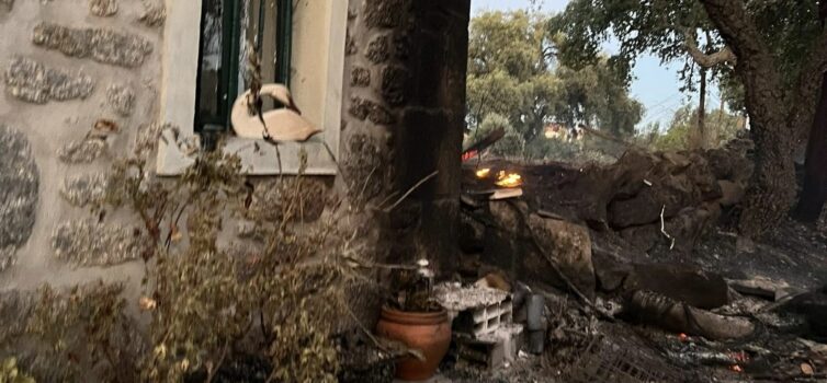 Incêndio em Penamacor destrói quinta e obriga família a fugir com os animais