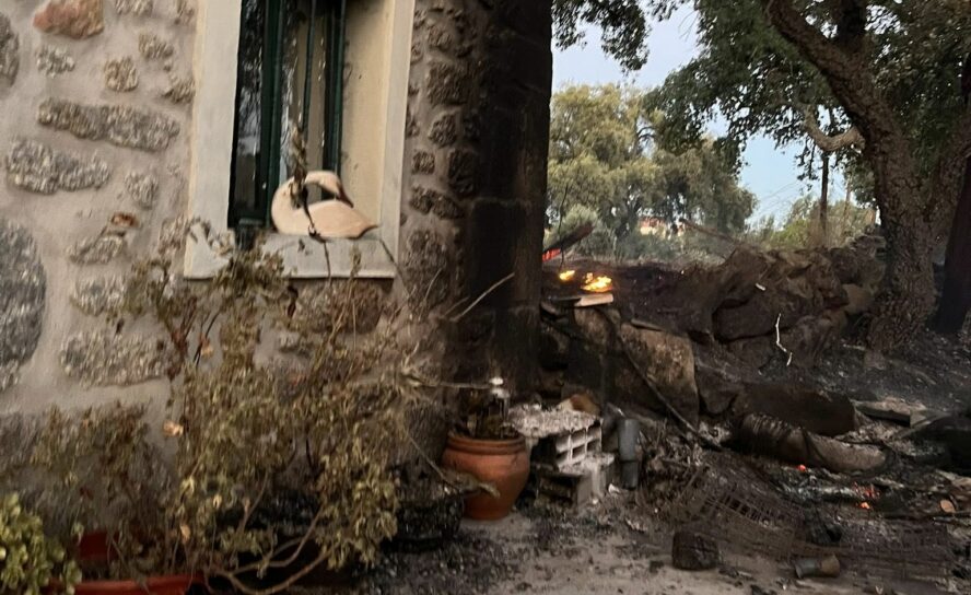 Incêndio em Penamacor destrói quinta e obriga família a fugir com os animais