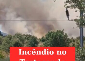 Incêndio mobiliza mais de 150 operacionais