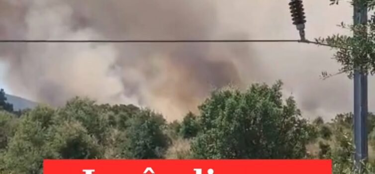 Incêndio mobiliza mais de 150 operacionais