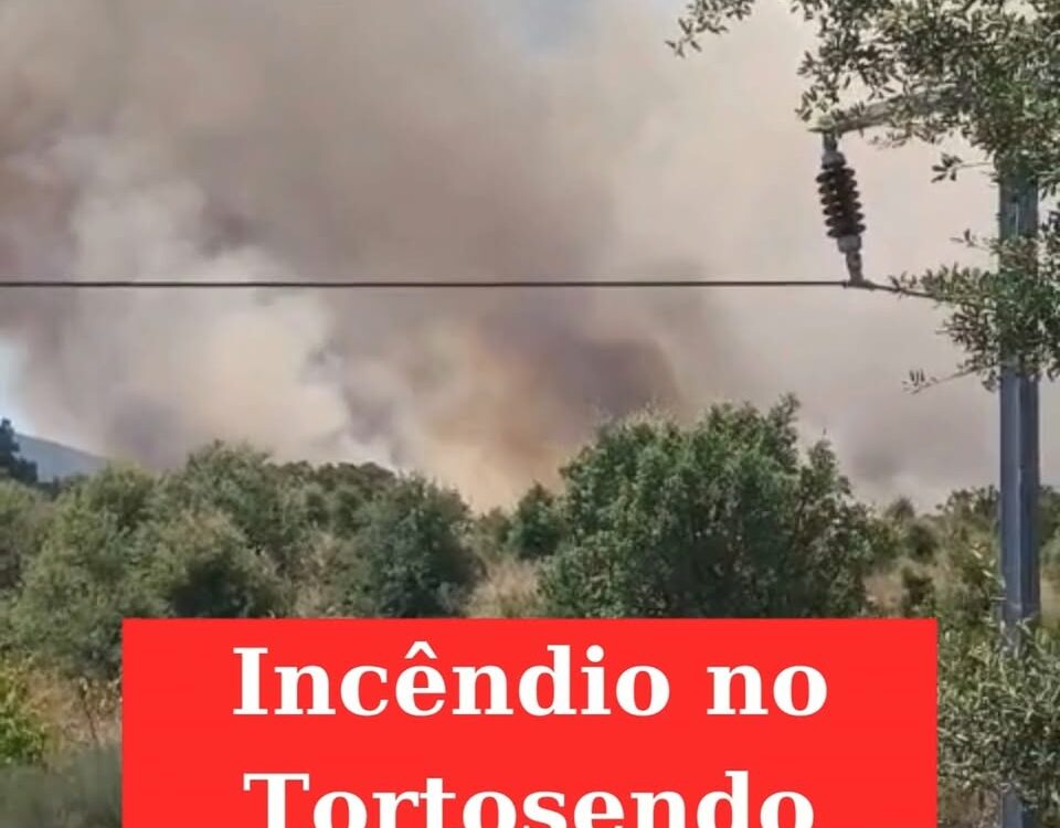 Incêndio mobiliza mais de 150 operacionais