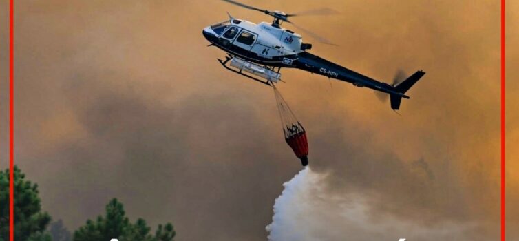Incêndio na Póvoa de Rio de Moinhos