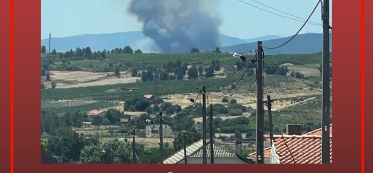 Incêndio no Tortosendo