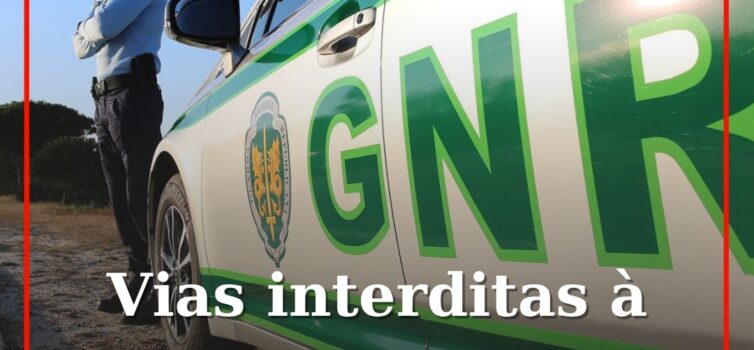 Incêndios obrigam ao corte de estradas em quatro distritos