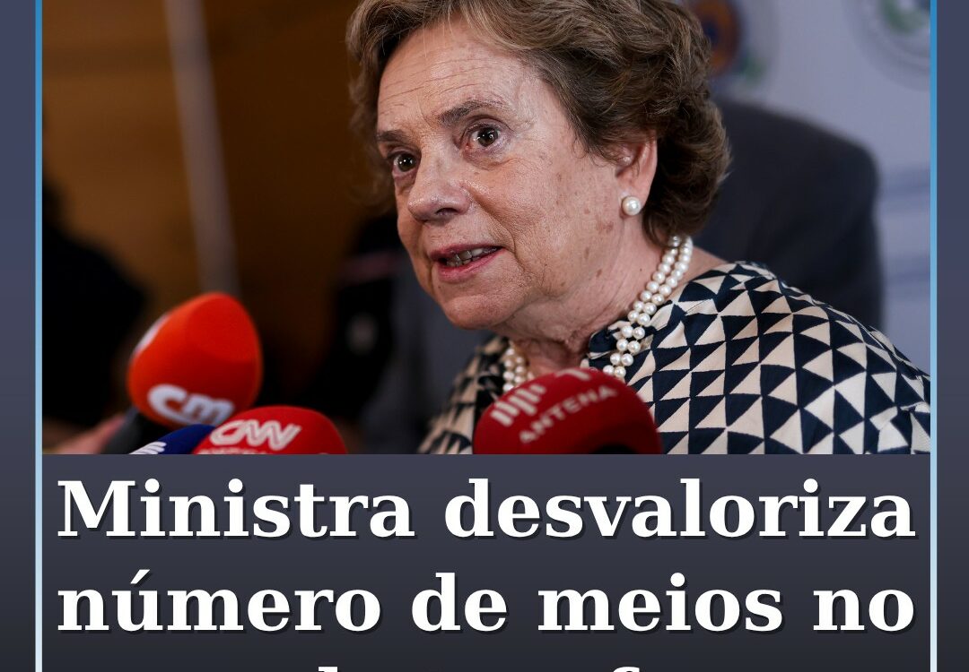 Ministra afirma que número de meios aéreos “é irrelevante” no combate aos incênd