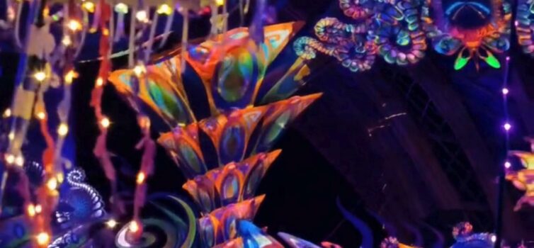 Noites mágicas de dança iluminam o Boom Festival 2025