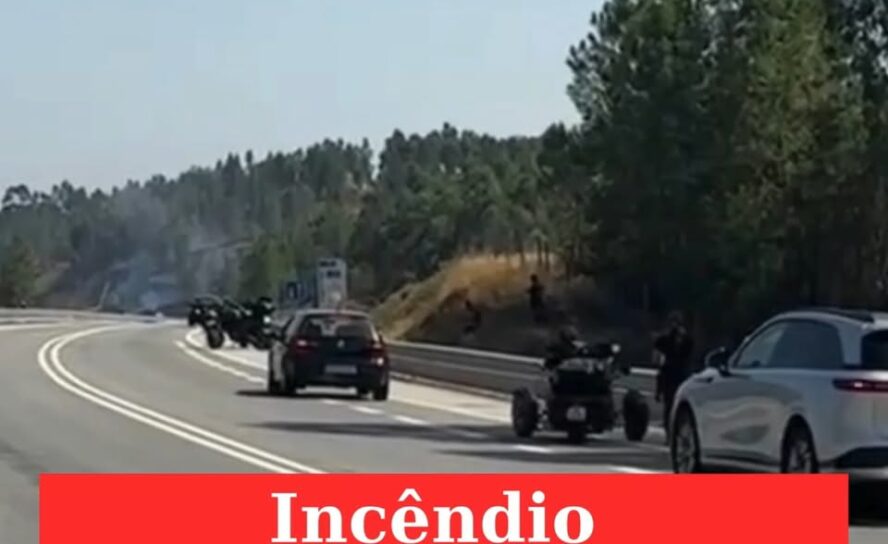 Incêndio condiciona circulação no IC8