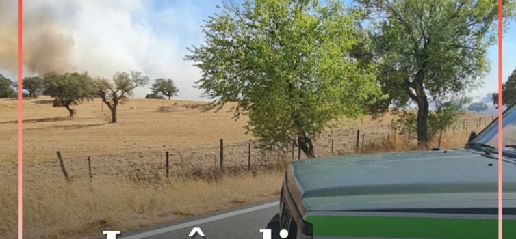 Incêndio em Idanha-a-Nova