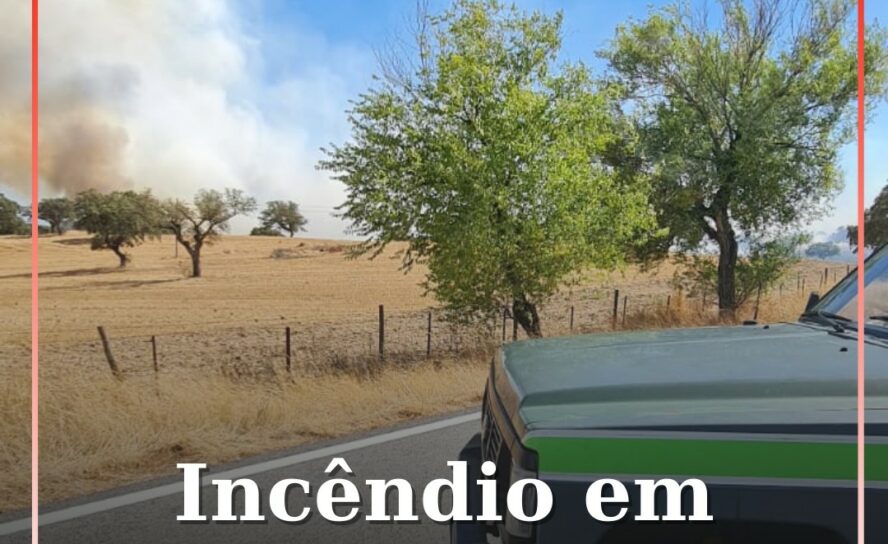 Incêndio em Idanha-a-Nova