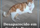 Desaparecido em Castelo Branco