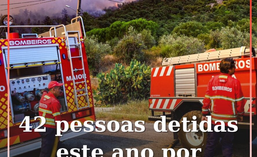 42 pessoas detidas este ano por incêndio florestal
