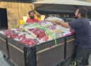 ARCA leva alimento a animais selvagens afetados pelos incêndios
