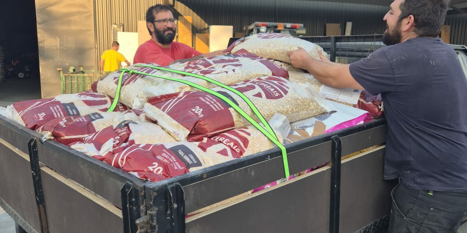 ARCA leva alimento a animais selvagens afetados pelos incêndios