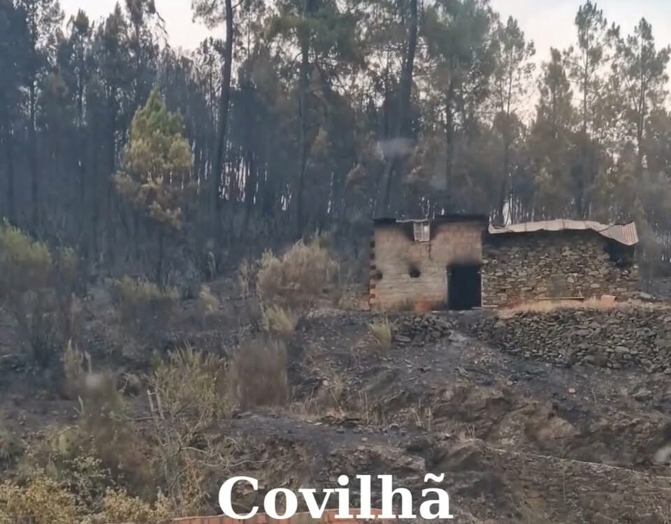 Aldeias da Covilhã fustigadas pelo fogo durante a noite